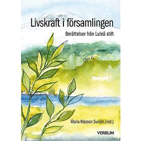 Livskraft i församlingen berättelser från Luleå stift