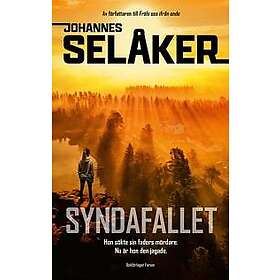 Syndafallet