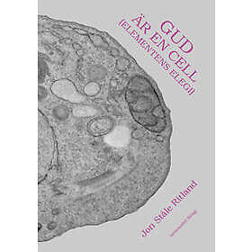 Gud är en cell (Elementens elegi)