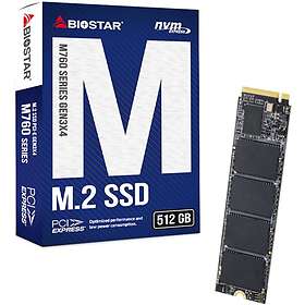 Biostar M760 512GB SSD