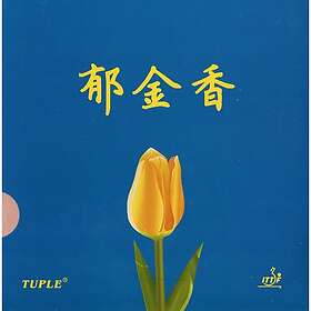 Tuple Sponge-0 5