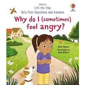 Very First Questions and Answers: Why do I (sometimes) feel angry?