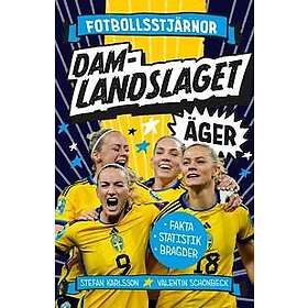 Damlandslaget äger