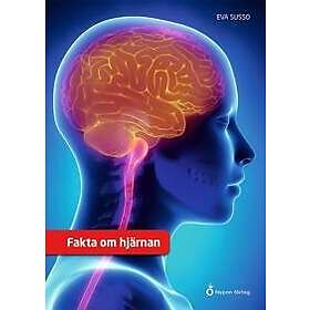Fakta om hjärnan