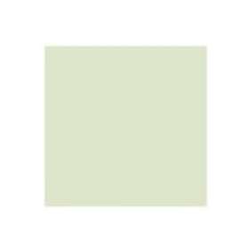 Rembrandt Oil Colour Tube Naples Yellow Green 282 15ml