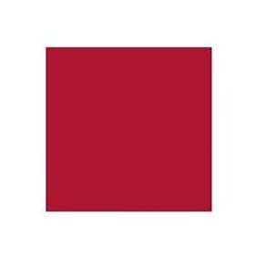 Rembrandt Oil Colour Tube Permanent Madder Deep 342 15ml
