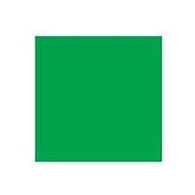 Rembrandt Oil Colour Tube Permanent Green Medium 614 15ml