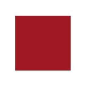 Rembrandt Oil Colour Tube Permanent Madder Brownish 324 15ml