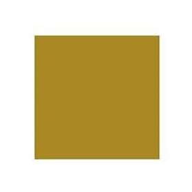 Rembrandt Oil Colour Tube Transparent Yellow Green 281 15ml