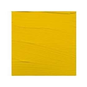 Amsterdam Expert Series Acrylic Tube Cadmium Yellow Medium 271 150ml