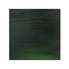 Amsterdam Expert Series Acrylic Tube Sap Green 623 150ml