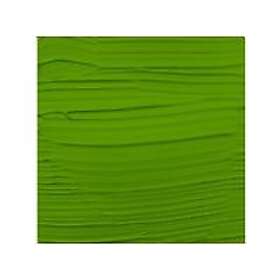 Amsterdam Expert Series Acrylic Tube Permanent Green Light 618 150ml