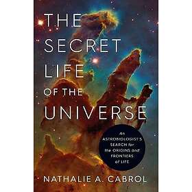 The Secret Life of the Universe