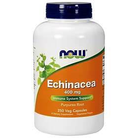 Now Foods Echinacea, 400mg 250 vcaps