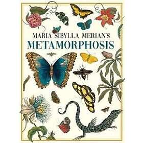 Maria Sibylla Merian's Metamorphosis