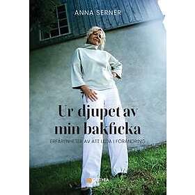 Ur djupet av min bakficka : Erfarenheter av att leda i förändring