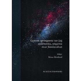 Genom springorna ser jag stjärnorna, stigarna över himlavalvet