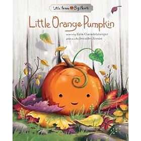Little Orange Pumpkin