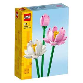 LEGO Icons 40467 Lotus Flowers