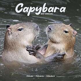 Capybara Calendar 2025 Square Animal Wall Calendar 16 Month