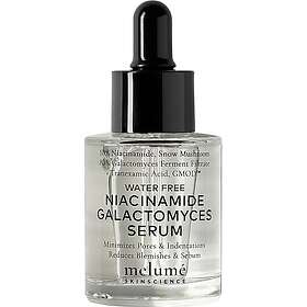 Skinscience Water-free Niacinamide Galactomyces Serum 30ml