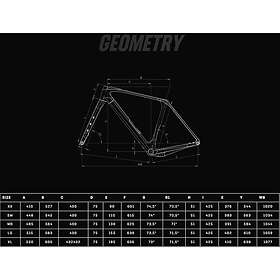 Bianchi Arcadex Comp