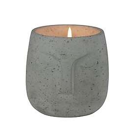 Citronella Mygglys 12X12X12 CM