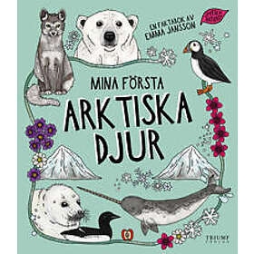 Mina första arktiska djur
