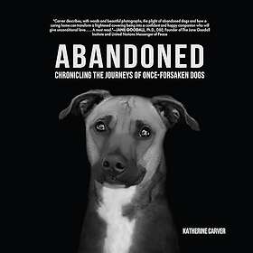 Abandoned