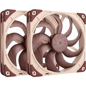 Noctua