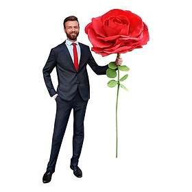 Mikamax Gigantisk Ros