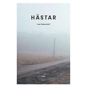 Hästar