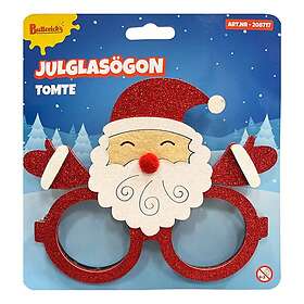 Glasögon Tomte One size