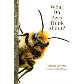 What Do Bees Think About?