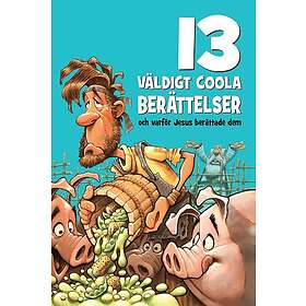 13 väldigt coola berättelser : och varför Jesus berättade dem