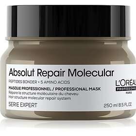 L'Oréal Paris Professionnel Serie Expert Absolut Repair Molecular Djup förstärkande hårmask 250ml