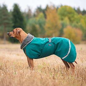 Pomppa Toppa Hundtäcke för Sele Blå/Grön (75)