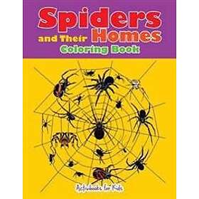 Spiders and Their Homes Coloring Book