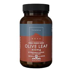 Terranova Olive Leaf 450mg 50 kapslar