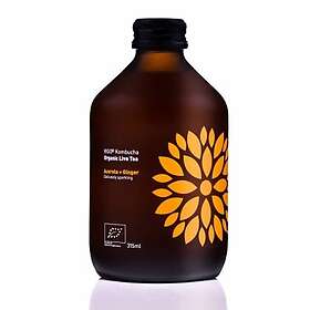 Vigo EKO Kombucha Acerola Ingefära 315ml