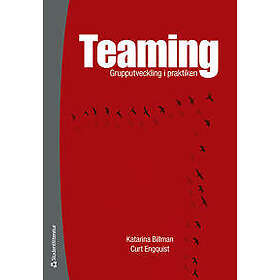 Teaming : grupputveckling i praktiken