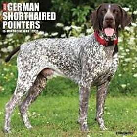 Just German Shorthaired Pointers 2025 12 X 12 Wall Calendar