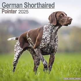 German Shorthair Pointer Calendar 2025 Square Dog Breed Wall Calendar 16 Month