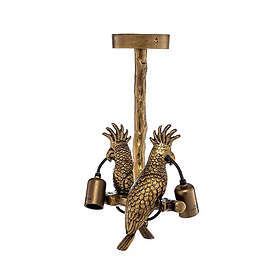 Lindby Nirvathia Parrot