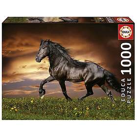 Educa Pussel Trotting Horse, 1000 bitar