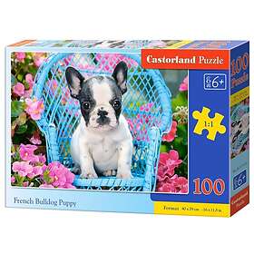 Castorland Pussel French bulldog puppy, 100 Bitar