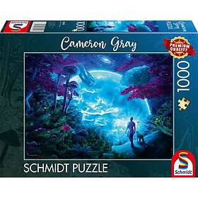 Schmidt : Cameron Gray Celestial Sky (1000)