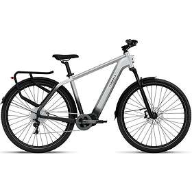 Tenways Ago X (Electric)