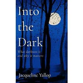 Into the Dark What darkness is and why it matters