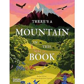 There's a Mountain in This Book